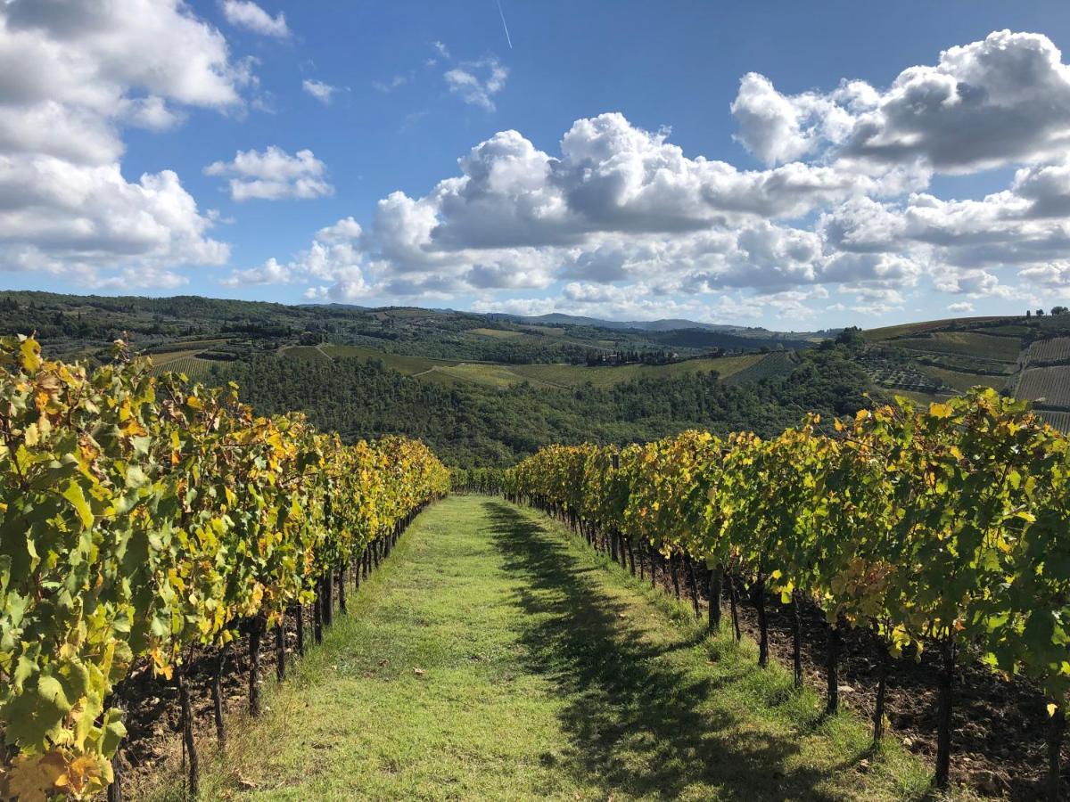 Fattoria Di Rignana Winery Bnb 그레베 인 키안티 외부 사진