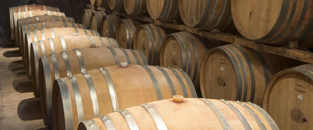 Fattoria Di Rignana Winery Bnb 그레베 인 키안티 외부 사진