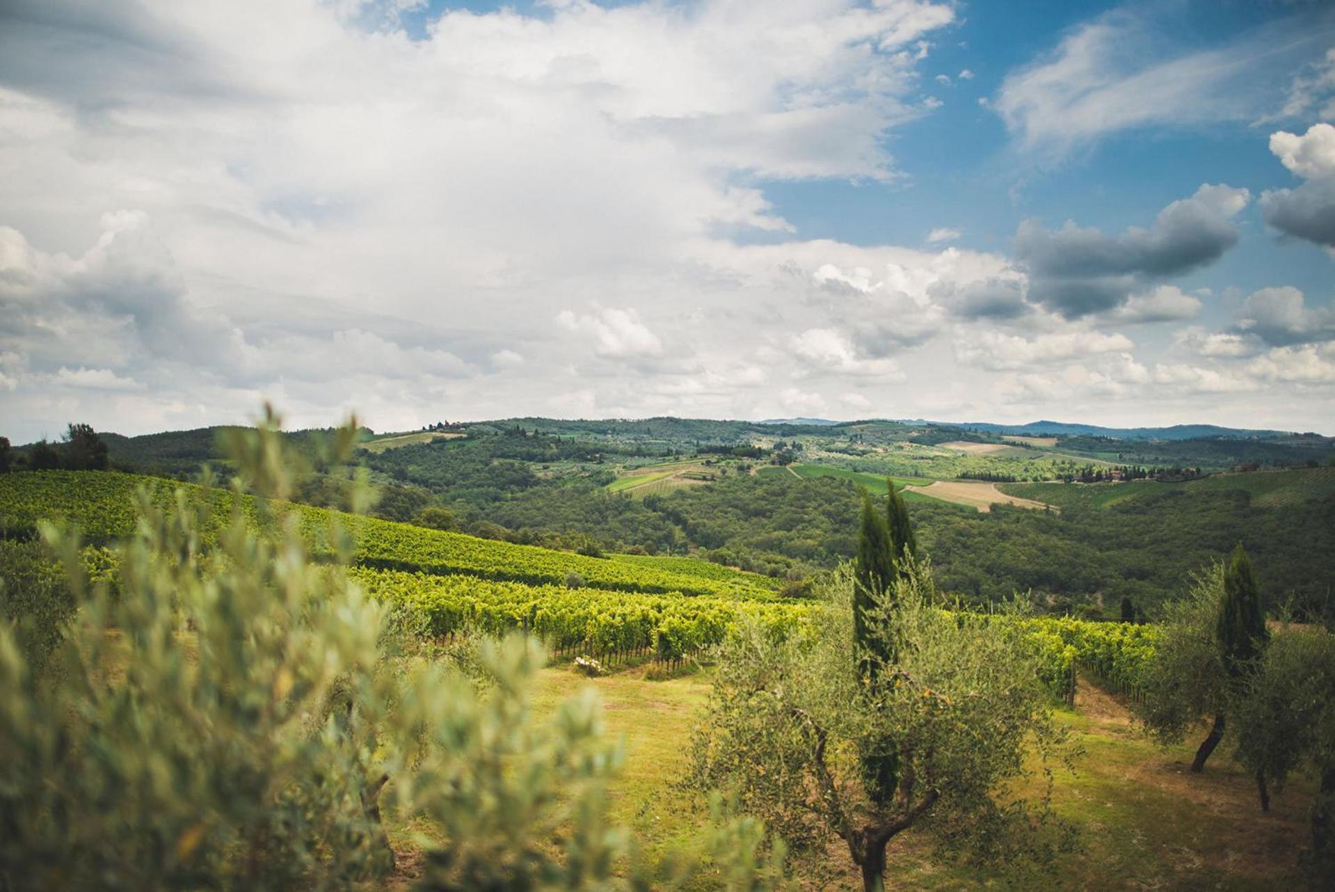 Fattoria Di Rignana Winery Bnb 그레베 인 키안티 외부 사진