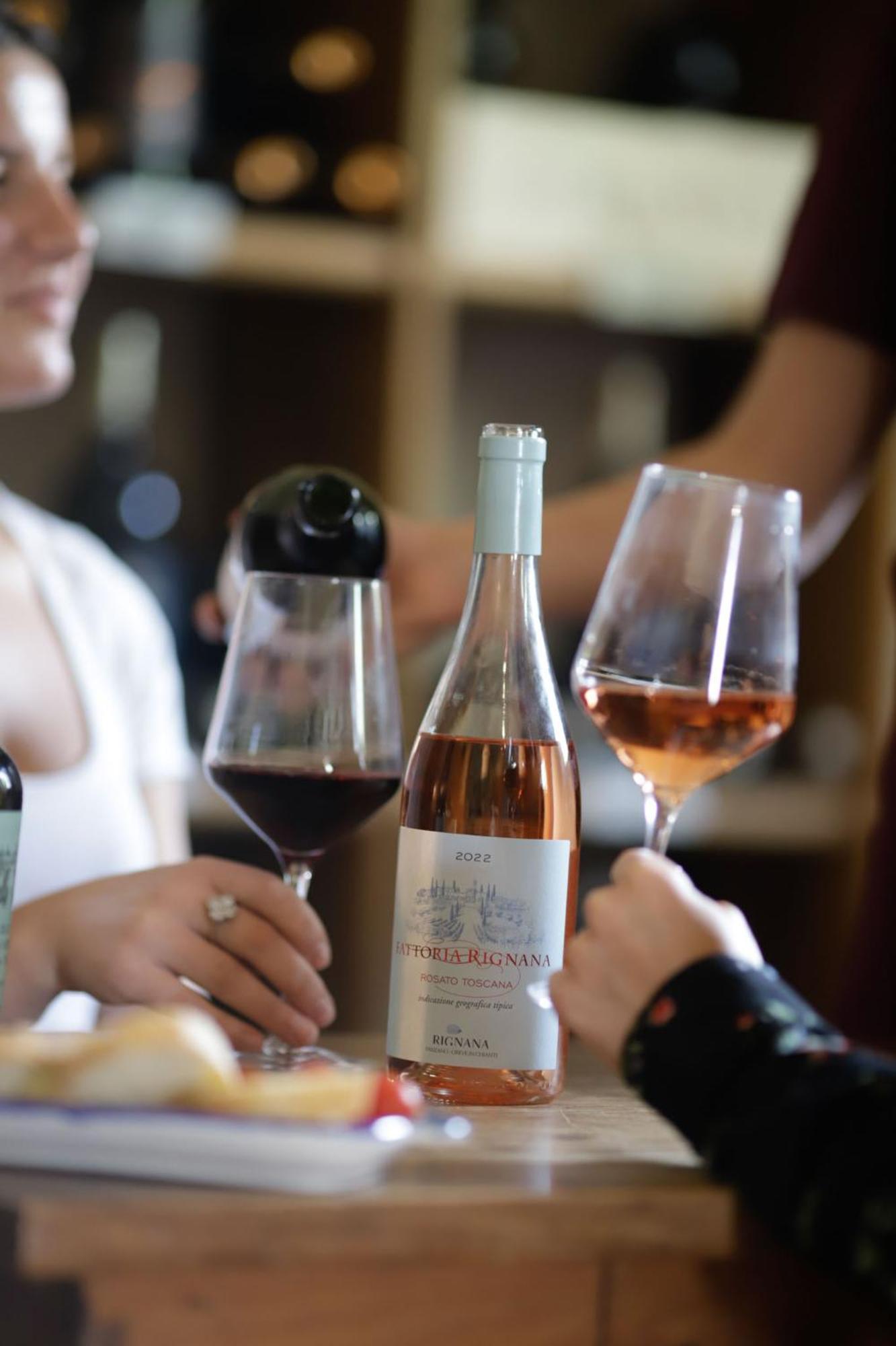 Fattoria Di Rignana Winery Bnb 그레베 인 키안티 외부 사진